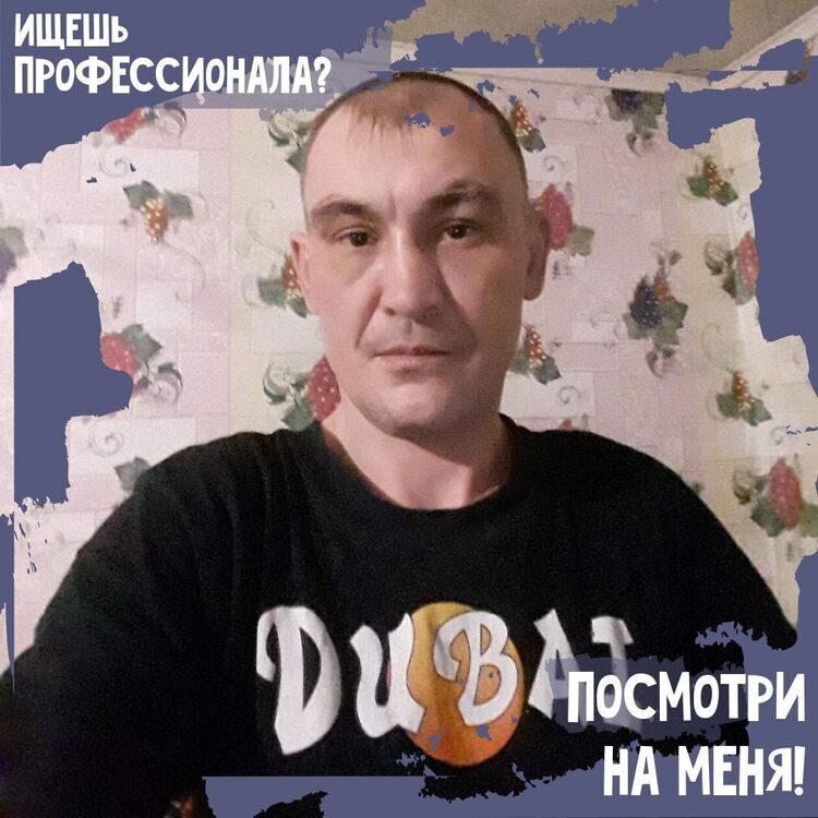  34535521  , 31 ,    