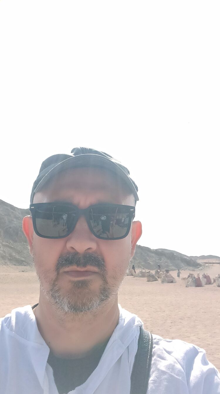 ���� 55895051 ������� ������, 50 ���, ���� ���������� � ������