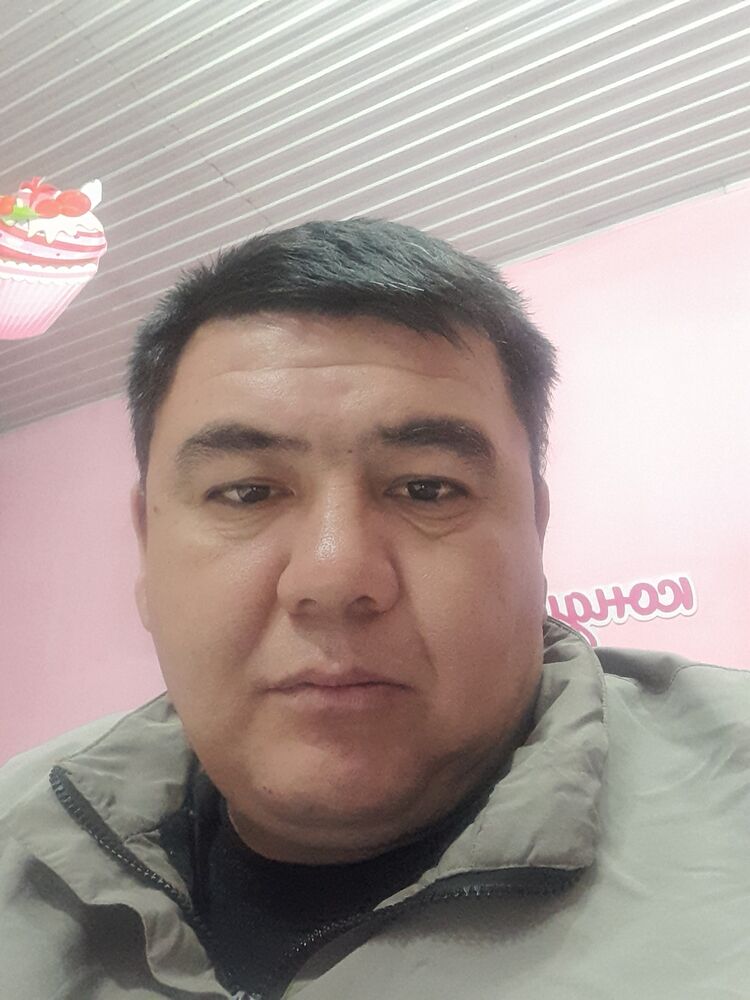  33261161  , 42 ,    