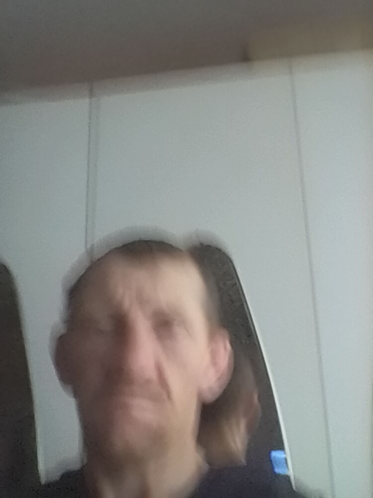 ���� 31932211 ������� �������, 44 ����, ���� ���������� � �����