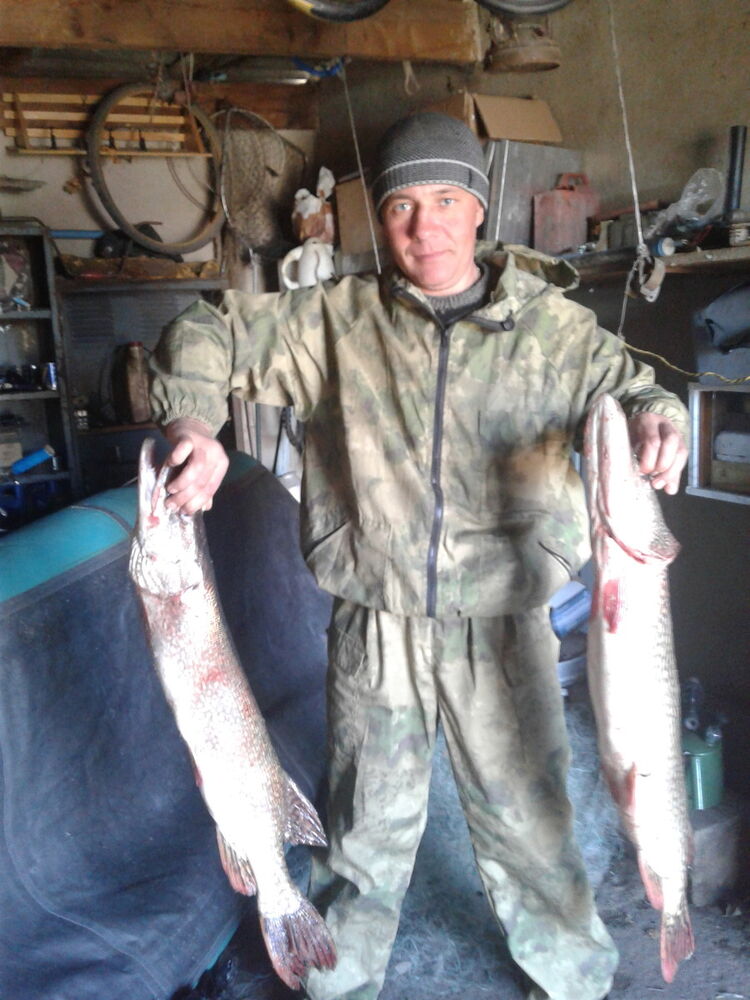 ���������� ����, ���� ������� �������, 42 ����, ������������ ��� ������, ����� � ���������, c�������� ���������