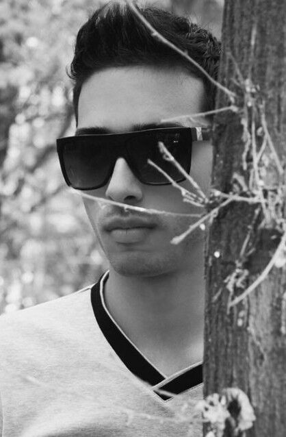 ���� 8026991 ������� Dog, 31 ���, ���� ���������� � �������