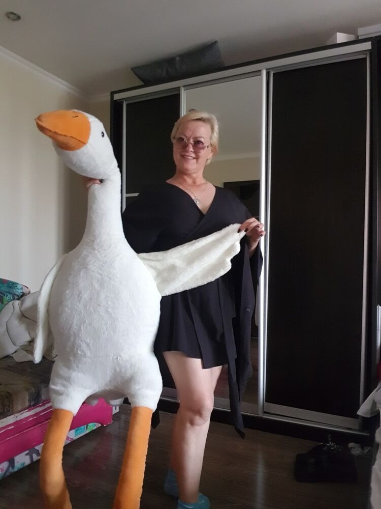 ���� 38535031 ������� �������, 51 ���, ���� ���������� � ������