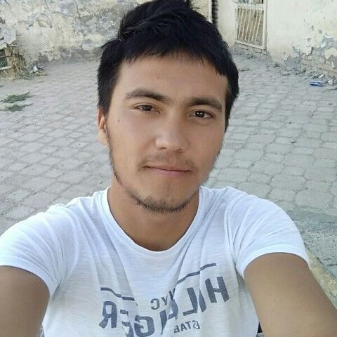  13751411  Aladin, 31 ,    
