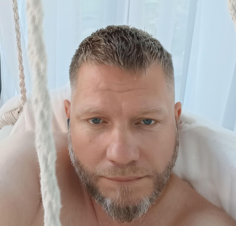  53497431  , 42 ,    -