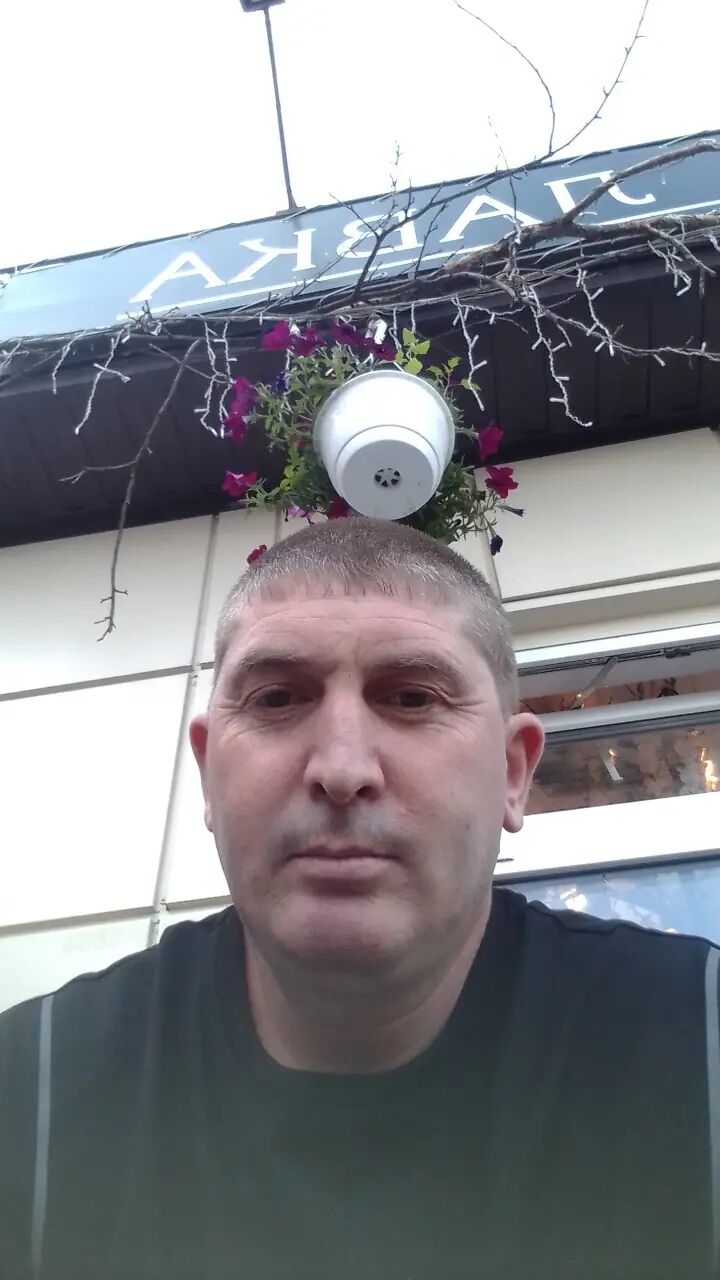 ���� 54994711 ������� ������, 41 ���, ���� ���������� � ��������