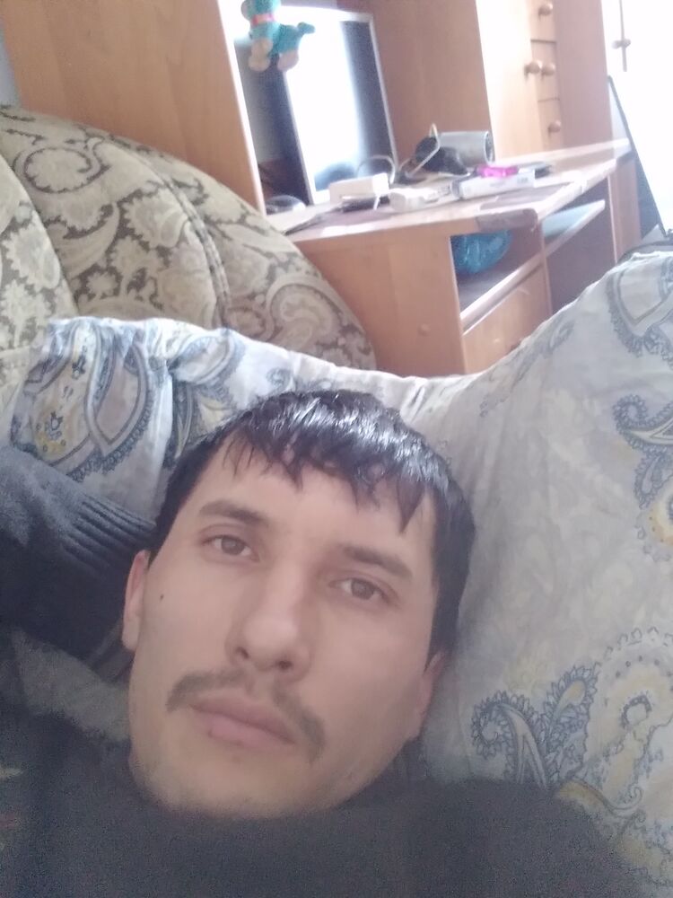  24679681  , 32 ,    