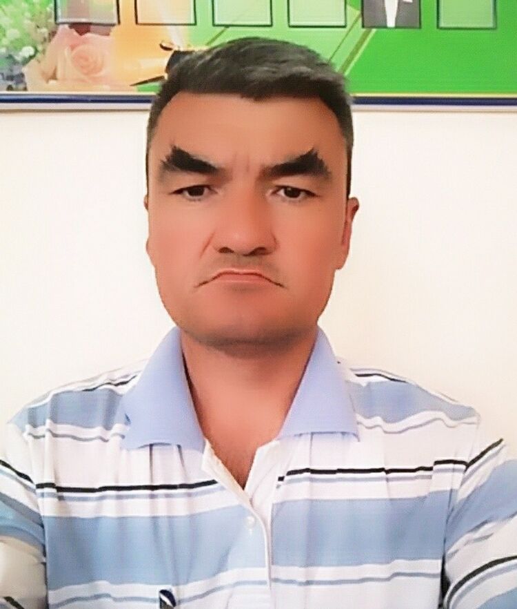  17536561  , 47 ,    