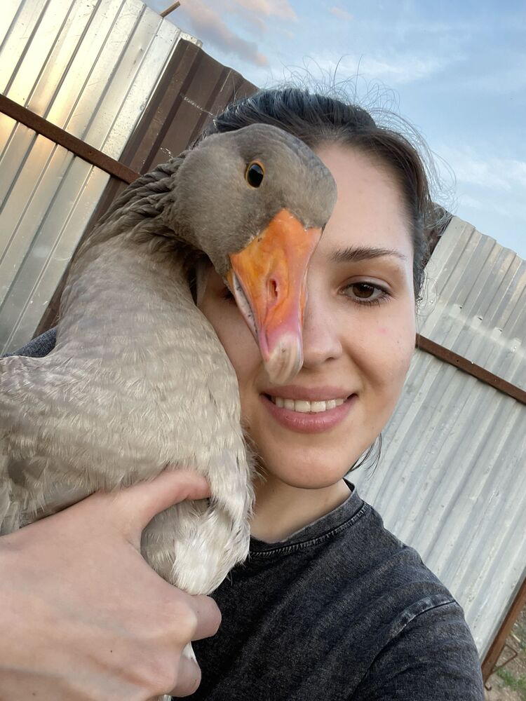 ���������� ������, ���� ������� �����, 27 ���, ������������ 