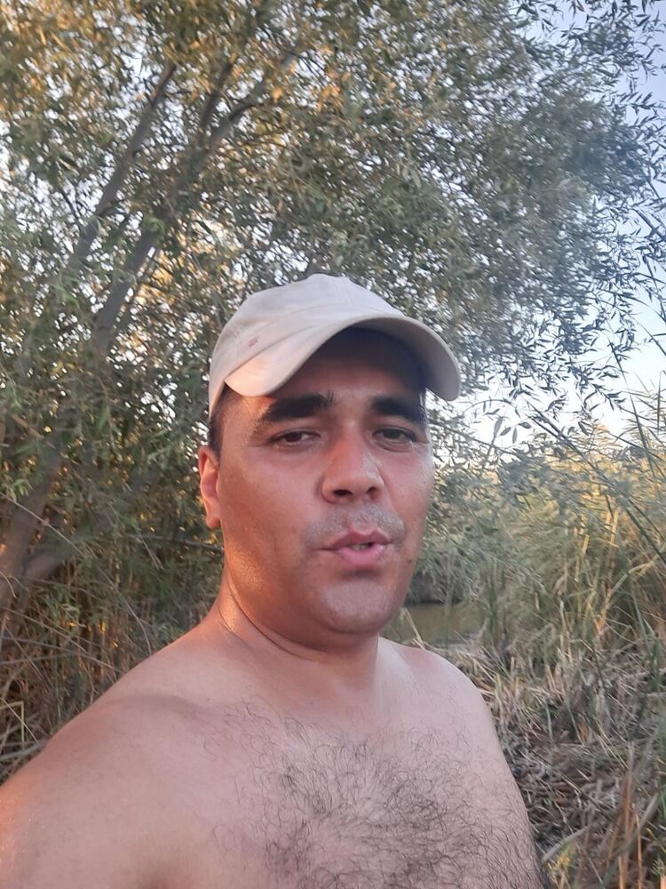  36683761  , 42 ,    