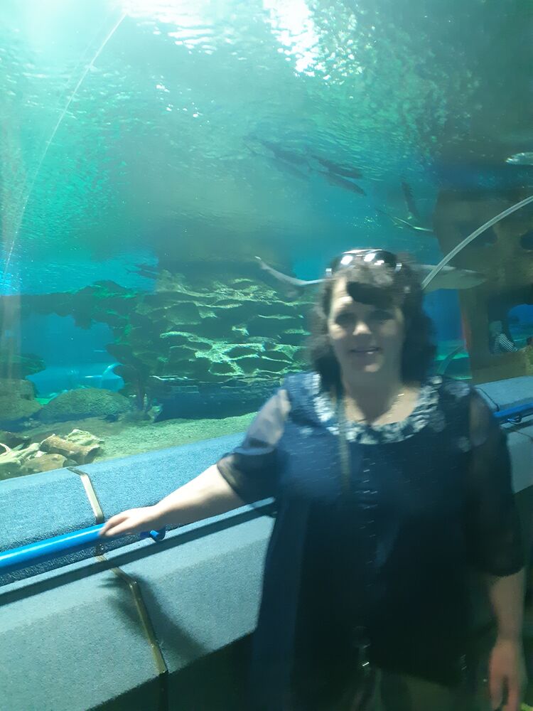  27260951  , 57 ,    -