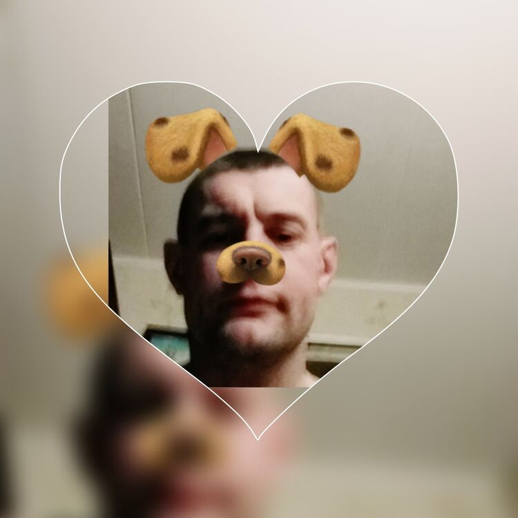  16229251  , 50 ,    