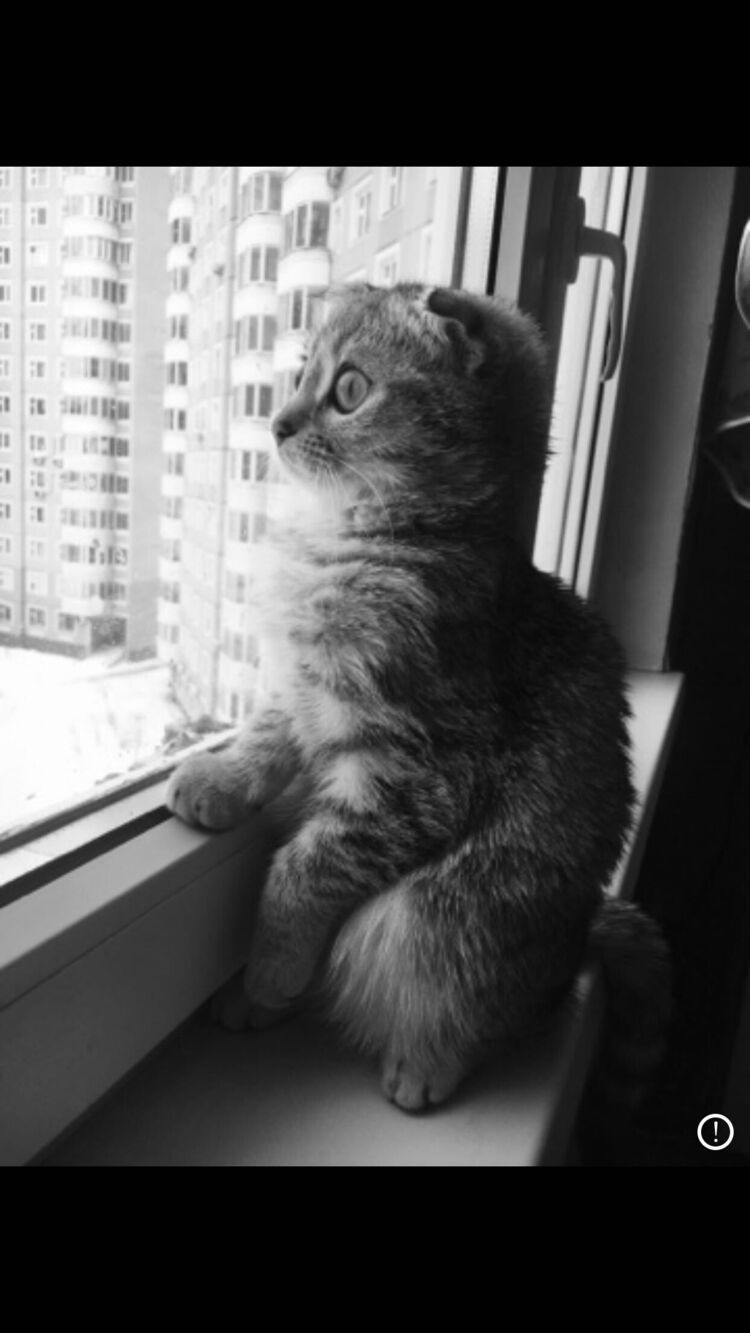 ���������� ������, ���� ������� ISA, 29 ���, ������������ ��� ������, ����� � ���������, c�������� ���������