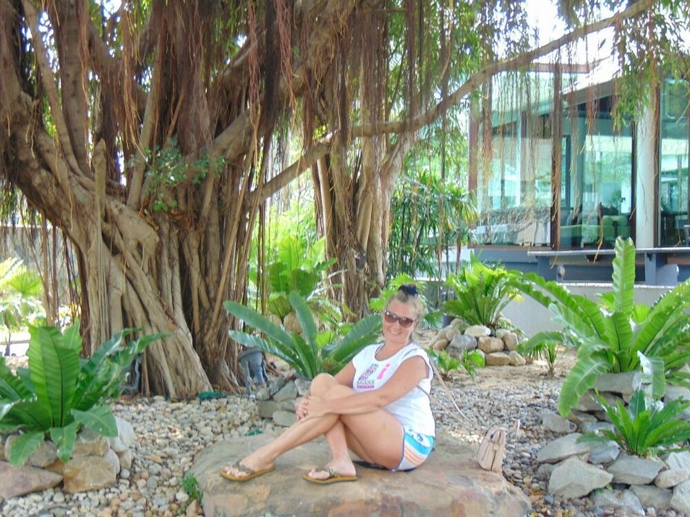  10253681  , 53 ,    -