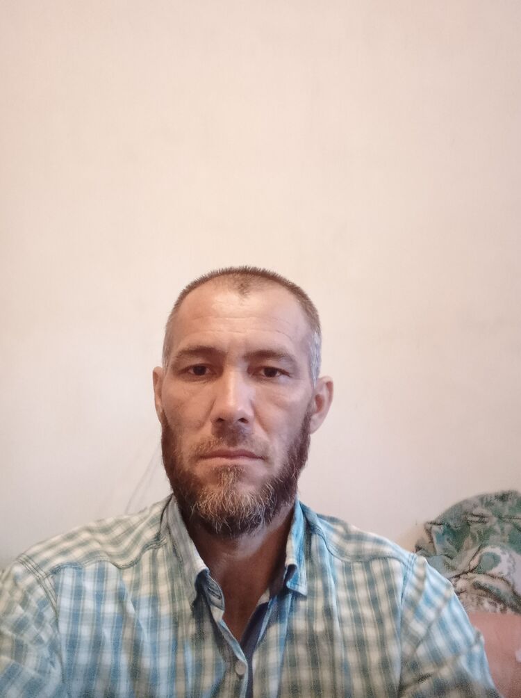  23928281  , 51 ,    