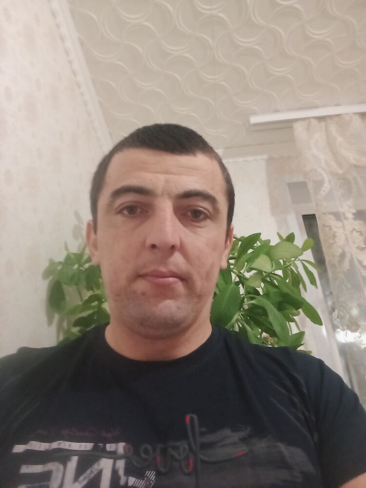  31393641  , 36 ,    