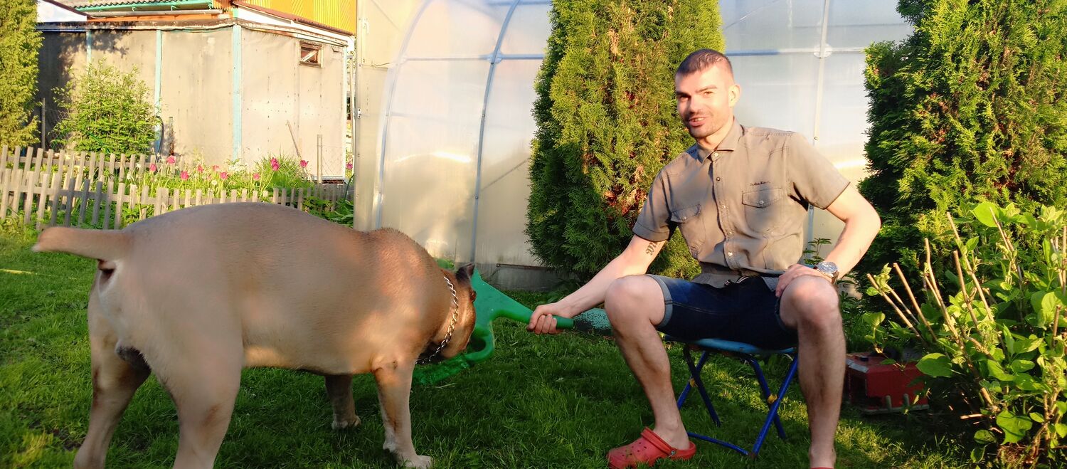 ���� 44064061 ������� ������, 33 ����, ���� ���������� � ���������