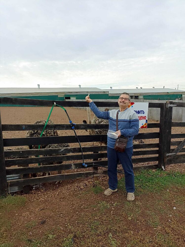 ���� 56108841 ������� ������Z, 91 ���, ���� ���������� � �������