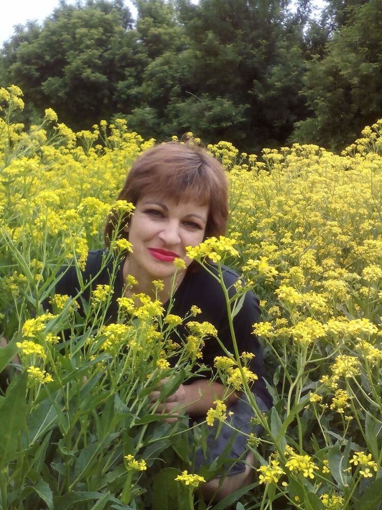 ���������� �������, ���� ������� ����, 48 ���, ������������ ��� ������, ����� � ���������, c�������� ���������