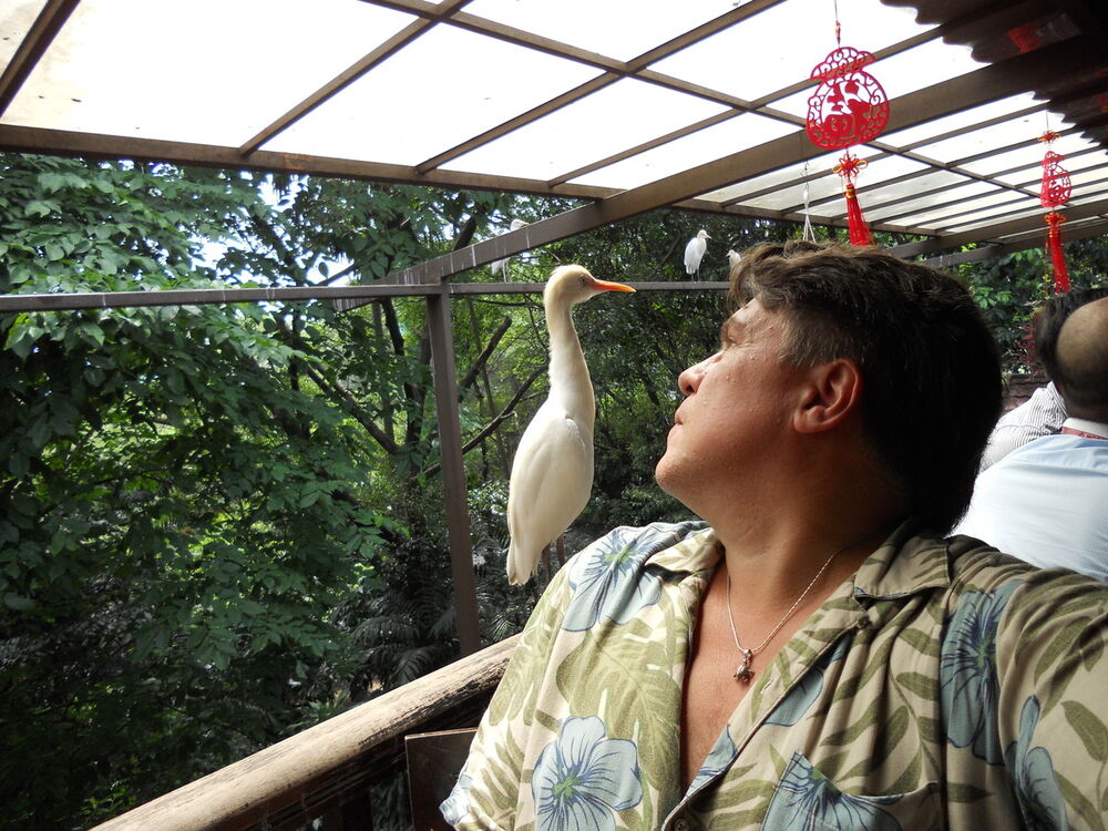  ,   , 49 ,   