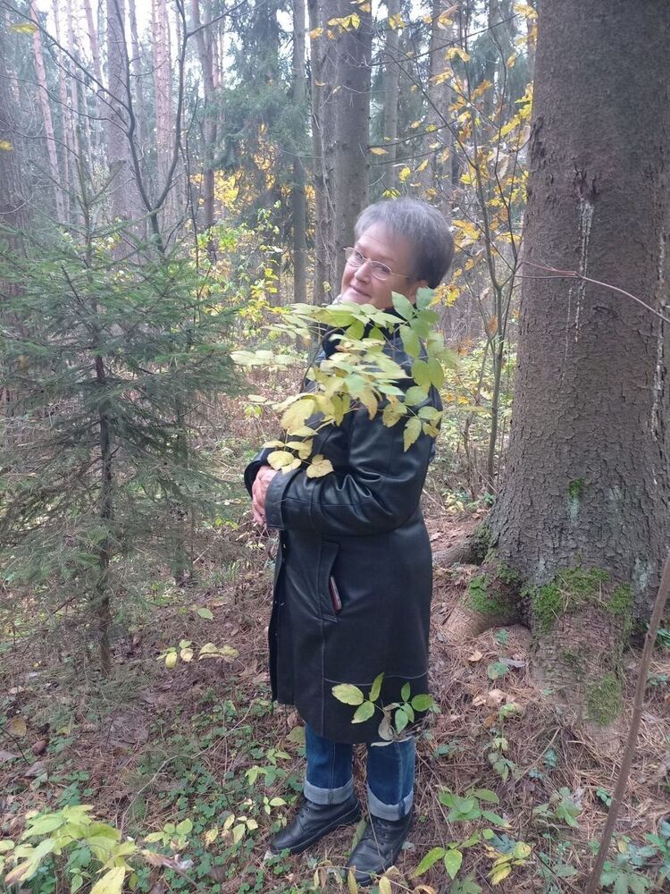 ���� 50946851 ������� �����, 68 ���, ���� ���������� � ����