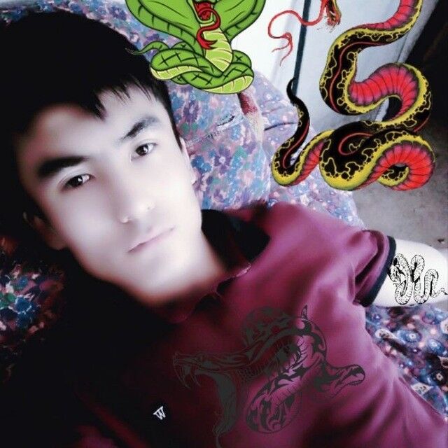  ,   , 26 ,     , c 