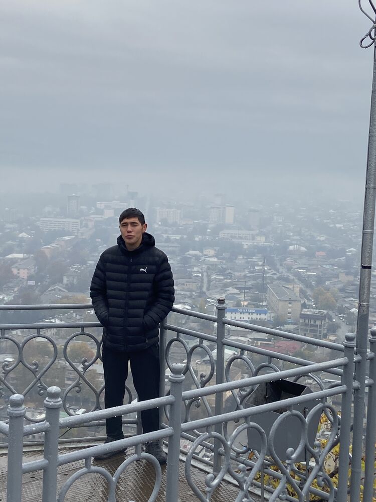 ���� 31033761 ����� �����, 22 ����, ���� ���������� � ������ ���������