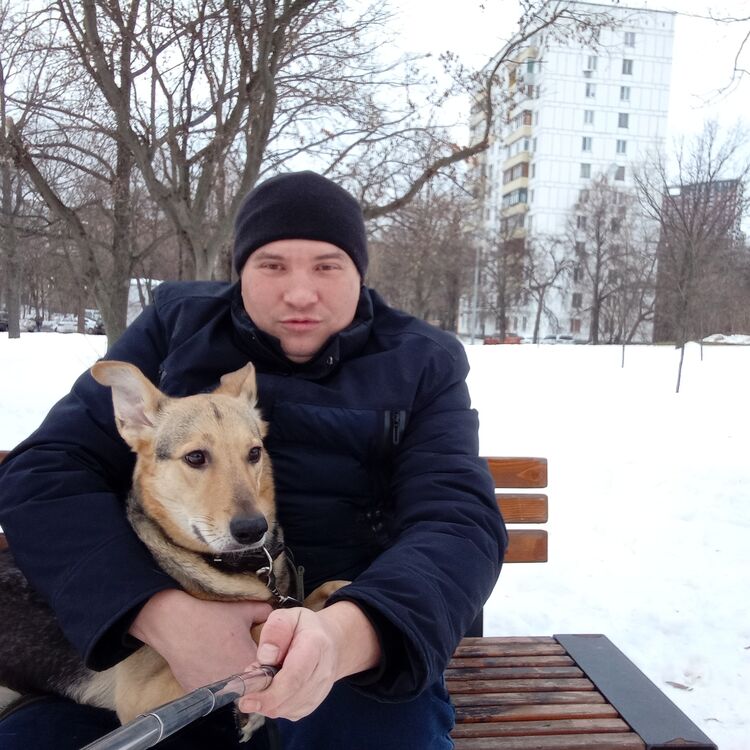 ���������� ������, ���� ������� ����, 42 ����, ������������ 