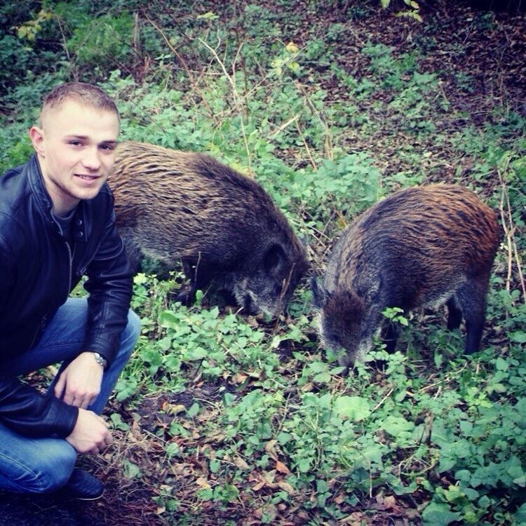 ���� 9492521 ������� ���������, 36 ���, ���� ���������� � �����������