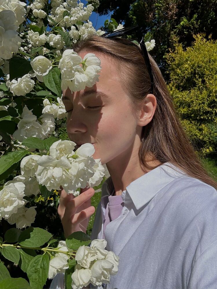  44248041  , 24 ,    -