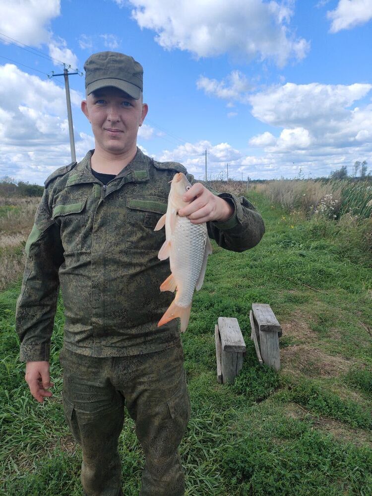 ���� 55169591 ������� �������, 29 ���, ���� ���������� � �����