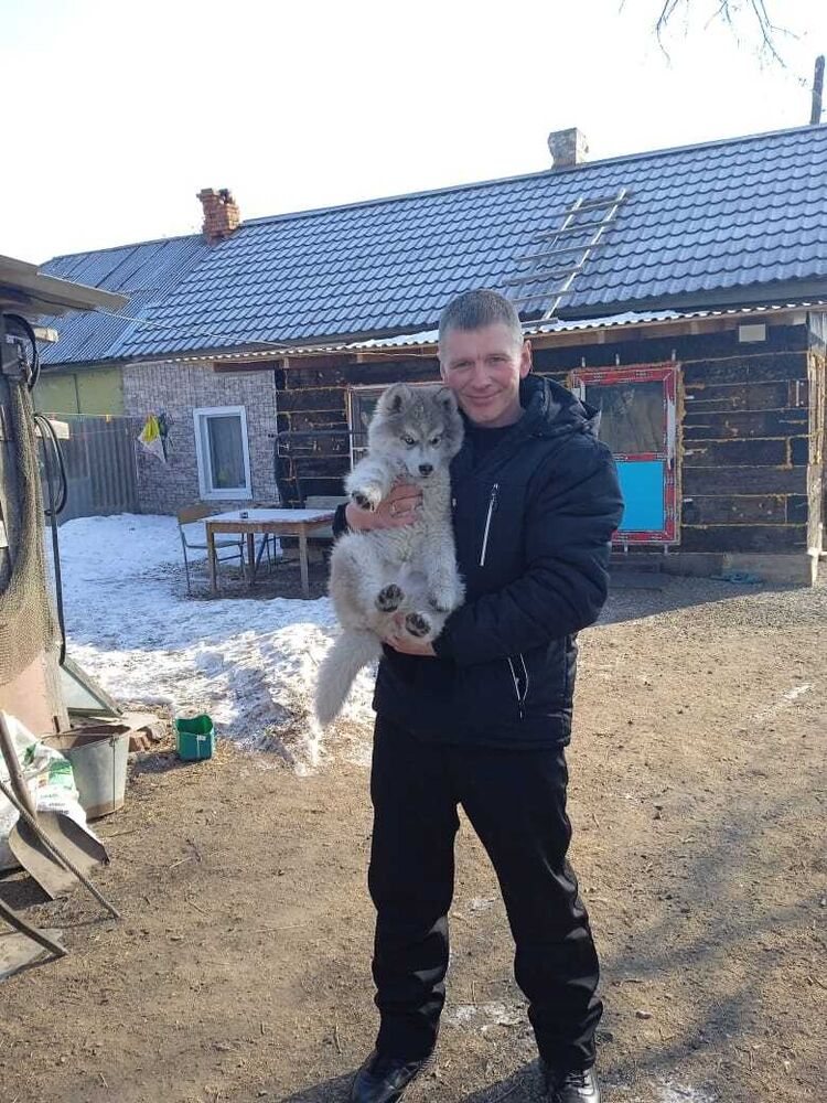 ���������� ������, ���� ������� �����, 43 ����, ������������ ��� ����� � ���������, c�������� ���������