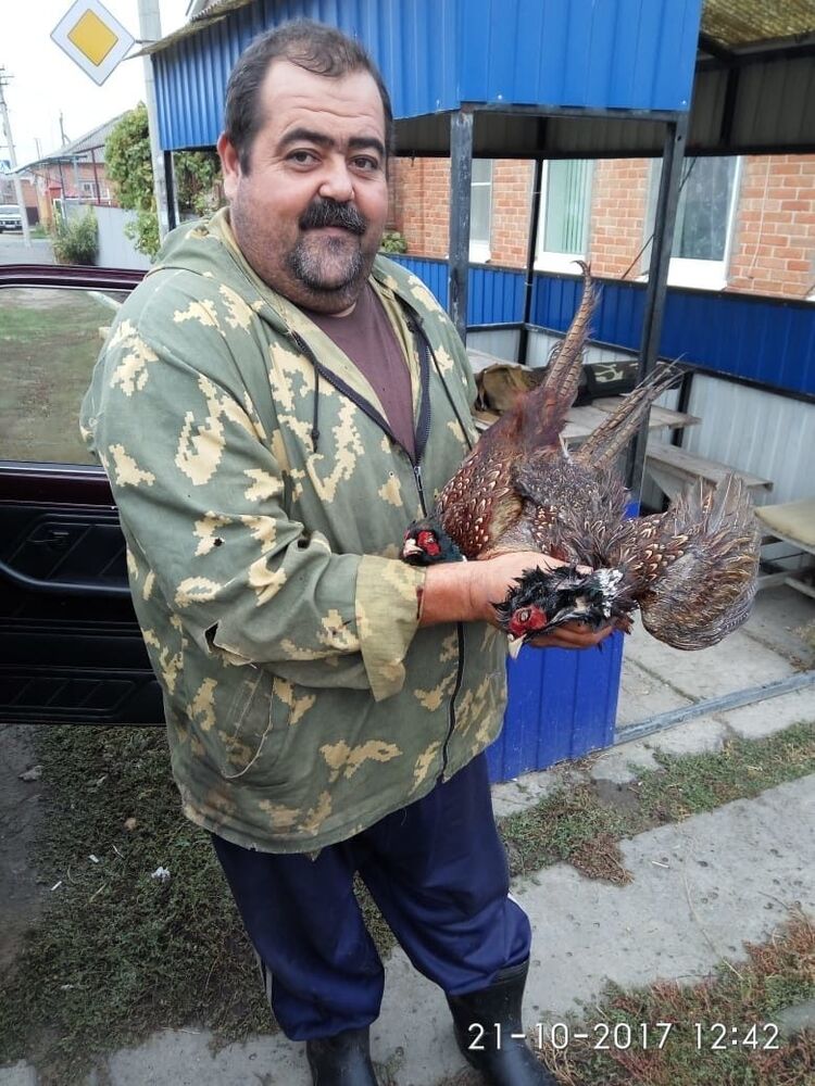  --,   , 49 ,     , c 