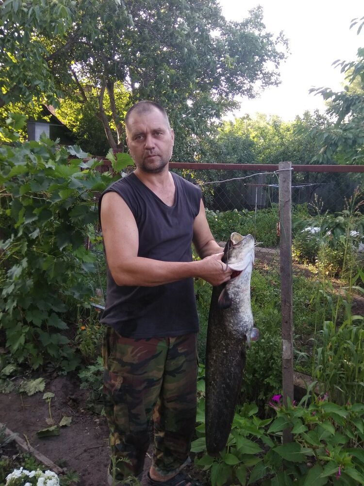 ���� 16007211 ������� ���������, 54 ����, ���� ���������� � ��������