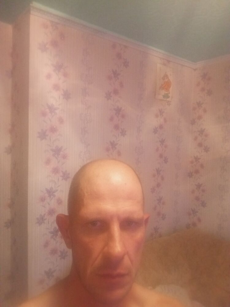  45490281  , 43 ,    