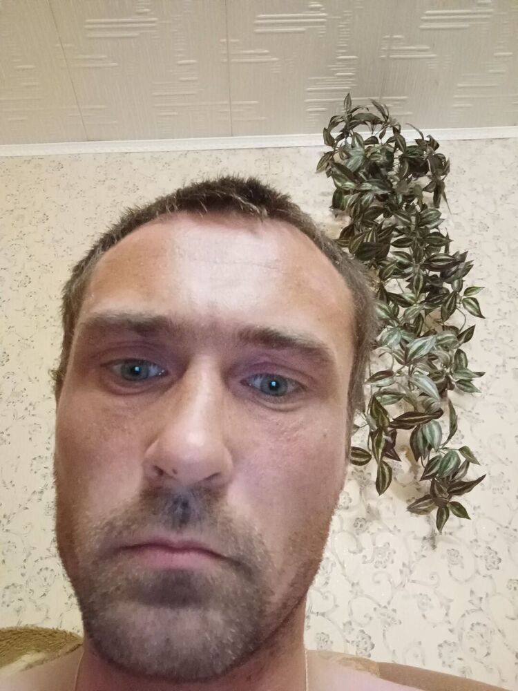  28039791  , 38 ,    