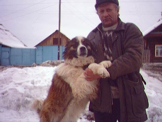 ,   , 61 ,   