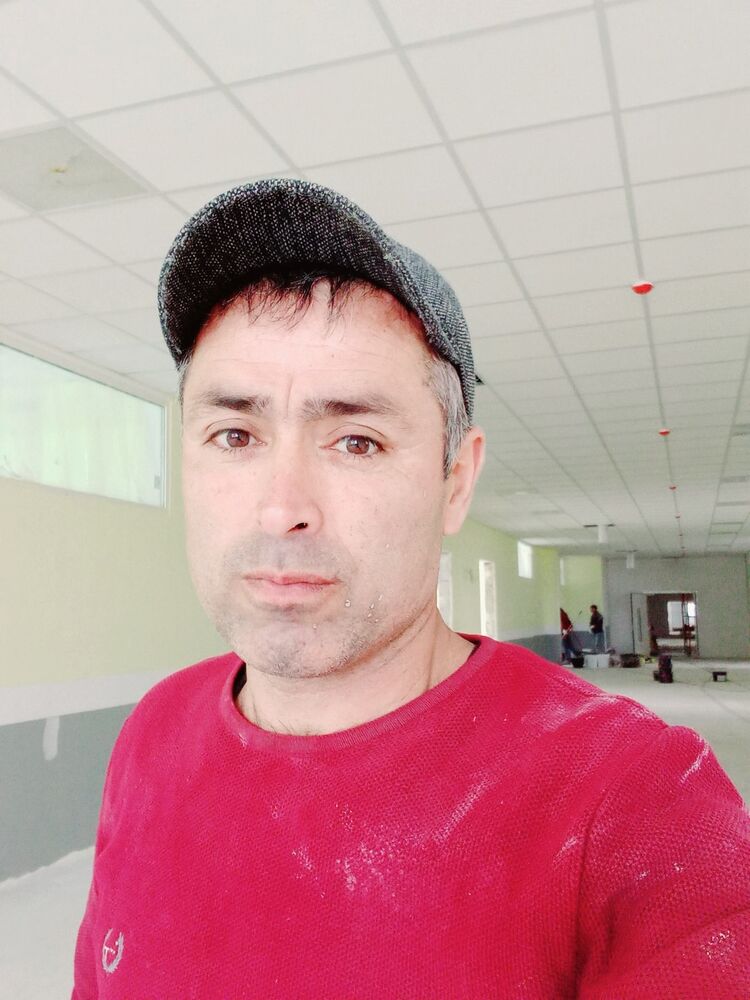  24196781  , 49 ,    -