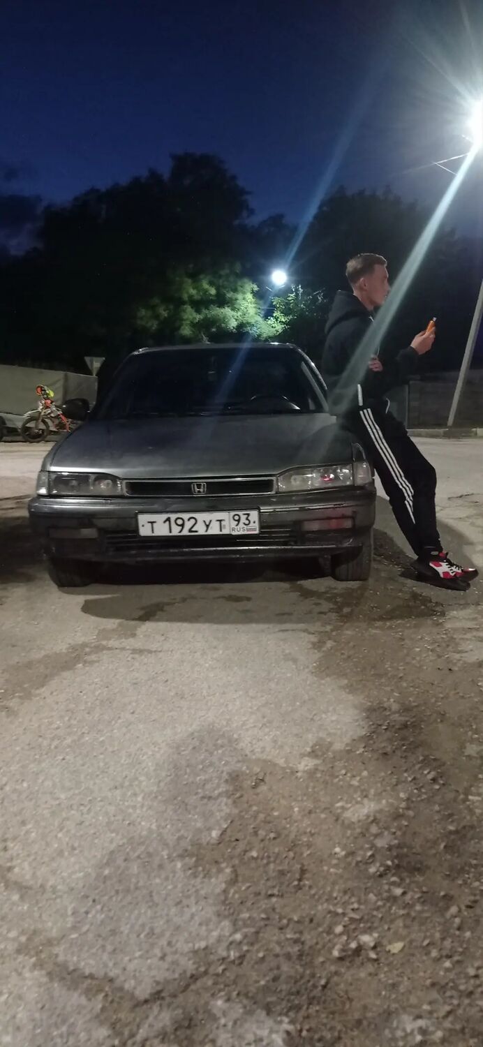 ���� 30583341 ����� ������, 24 ����, ���� ���������� � �������-��-����