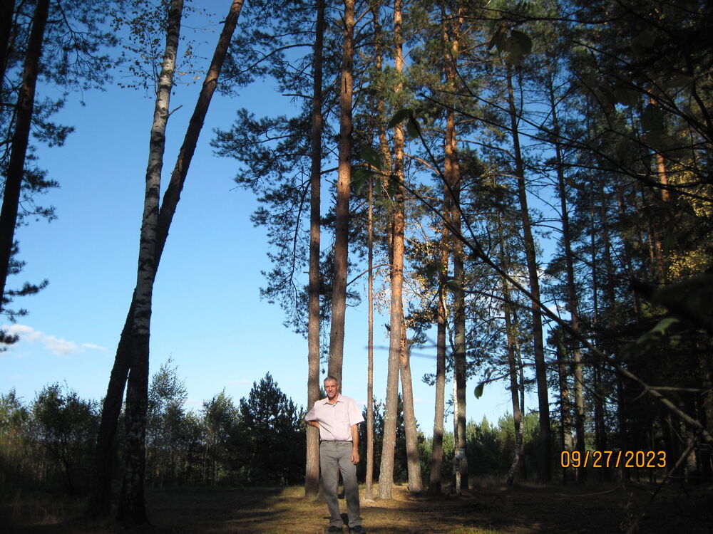  ,   , 65 ,   ,   , c , 