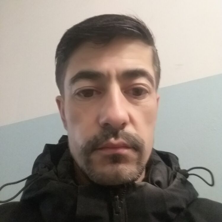 ���������� ������������, ���� ������� Sarvar, 38 ���, ������������ ��� ������, ����� � ���������