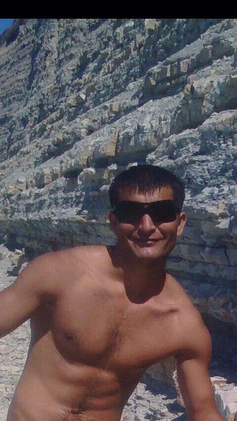 ���� 31364981 ������� �������, 33 ����, ���� ���������� � ����������