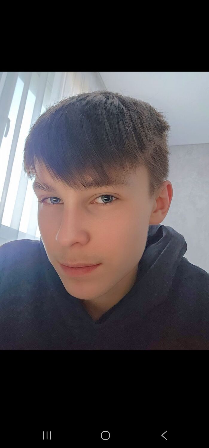  53158311  , 20 ,    