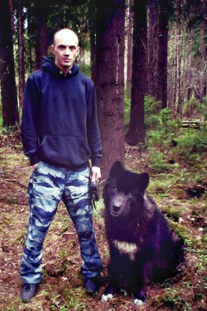 ���������� �����-���������, ���� ������� �����, 37 ���, ������������ ��� ������, ����� � ���������, c�������� ���������