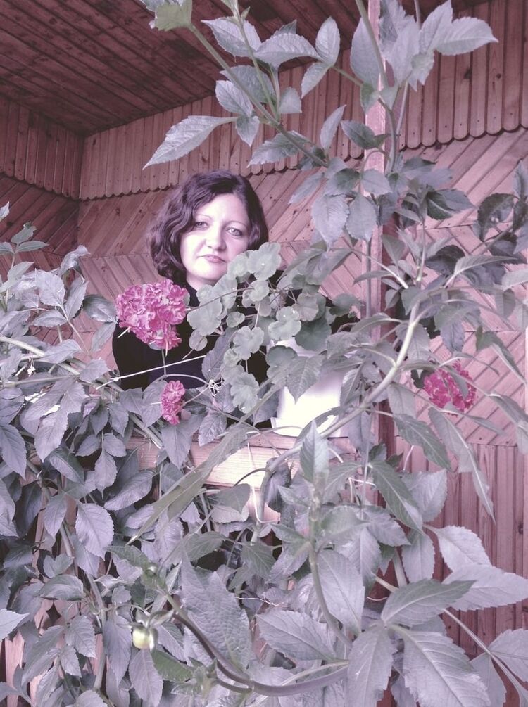 ���� 9496881 ������� �����, 45 ���, ���� ���������� � ����������