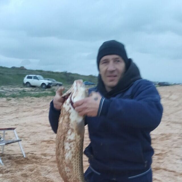 ���������� �������, ���� ������� ����, 42 ����, ������������ ��� ������, ����� � ���������