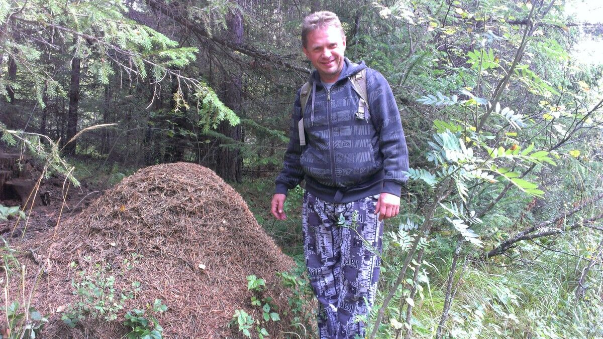 ���������� ���, ���� ������� ������, 55 ���, ������������ ��� ������, ����� � ���������, c�������� ���������