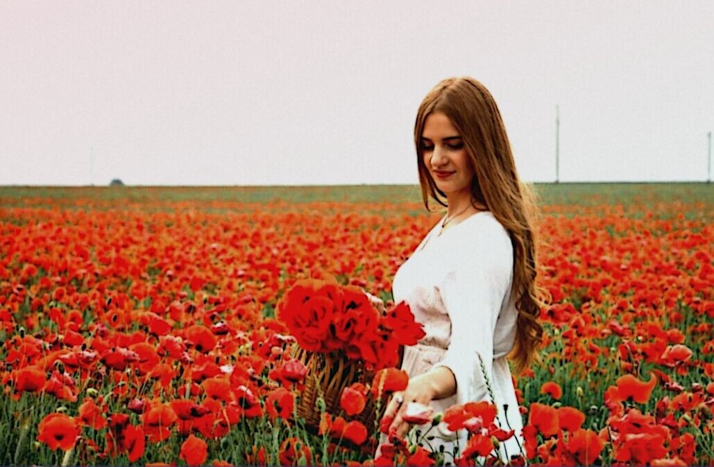 ���������� ���������, ���� ������� ����, 29 ���, ������������ ��� ������, ����� � ���������