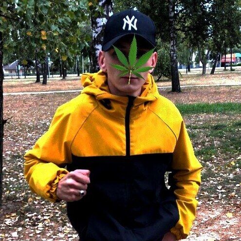 ���� 29369061 ����� ����, 22 ����, ���� ���������� � ������