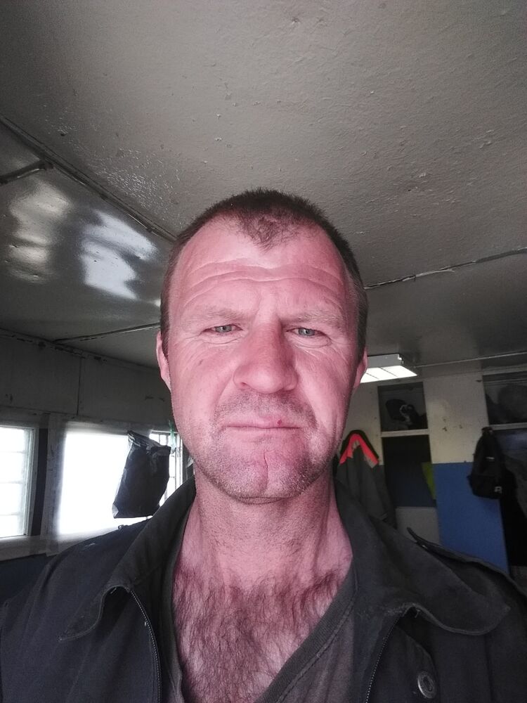  34054791  , 43 ,    
